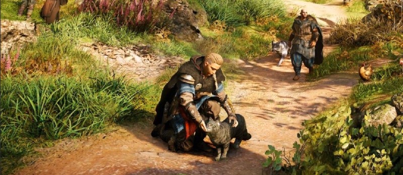 How to get a Raider Cat on your Drakkar in Assassin's Creed Valhalla