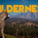 Download Wilderness - Full PC