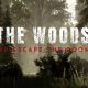 The Woods: VR Escape the Room on PC
